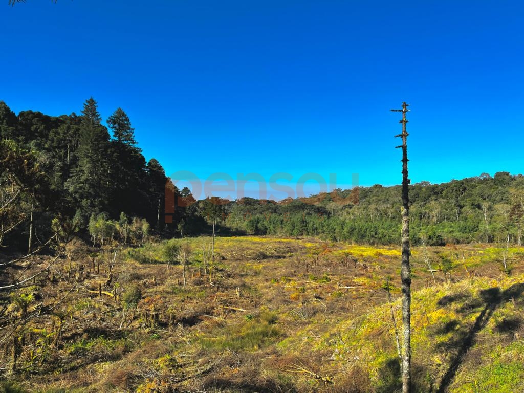 Terreno em Condomínio